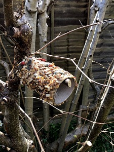 Biodegradable Bird Feeder