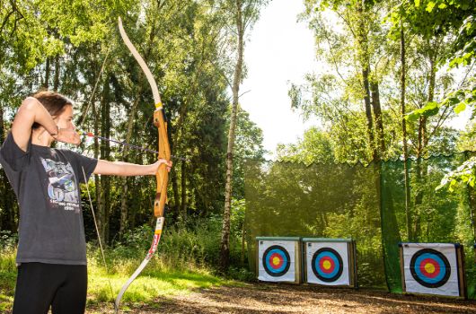 Archery dofe sold