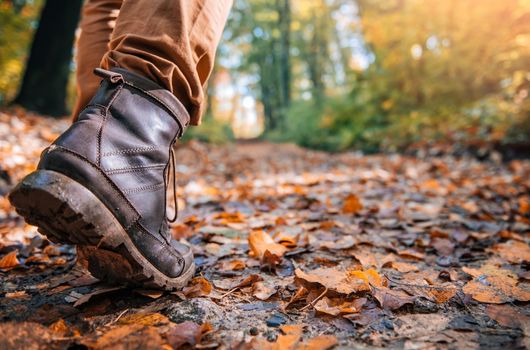 outdoor learning training modules for teachers surrey