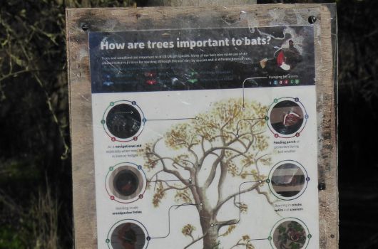 Notice boards in nature area at TYM