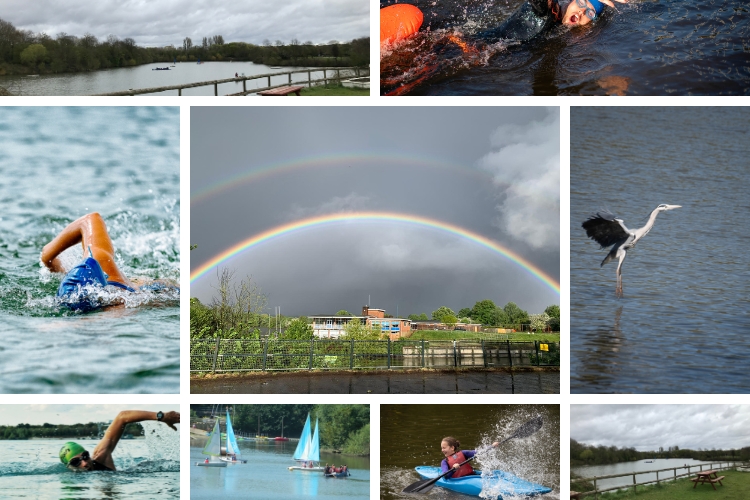 open water swimming near Richmond at Thames Young Mariners